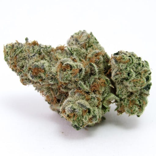 Home grown in Shasta County, CA by Wild Light. For sale at 7 Stars in Richmond, CA. (David Downs/Leafly)