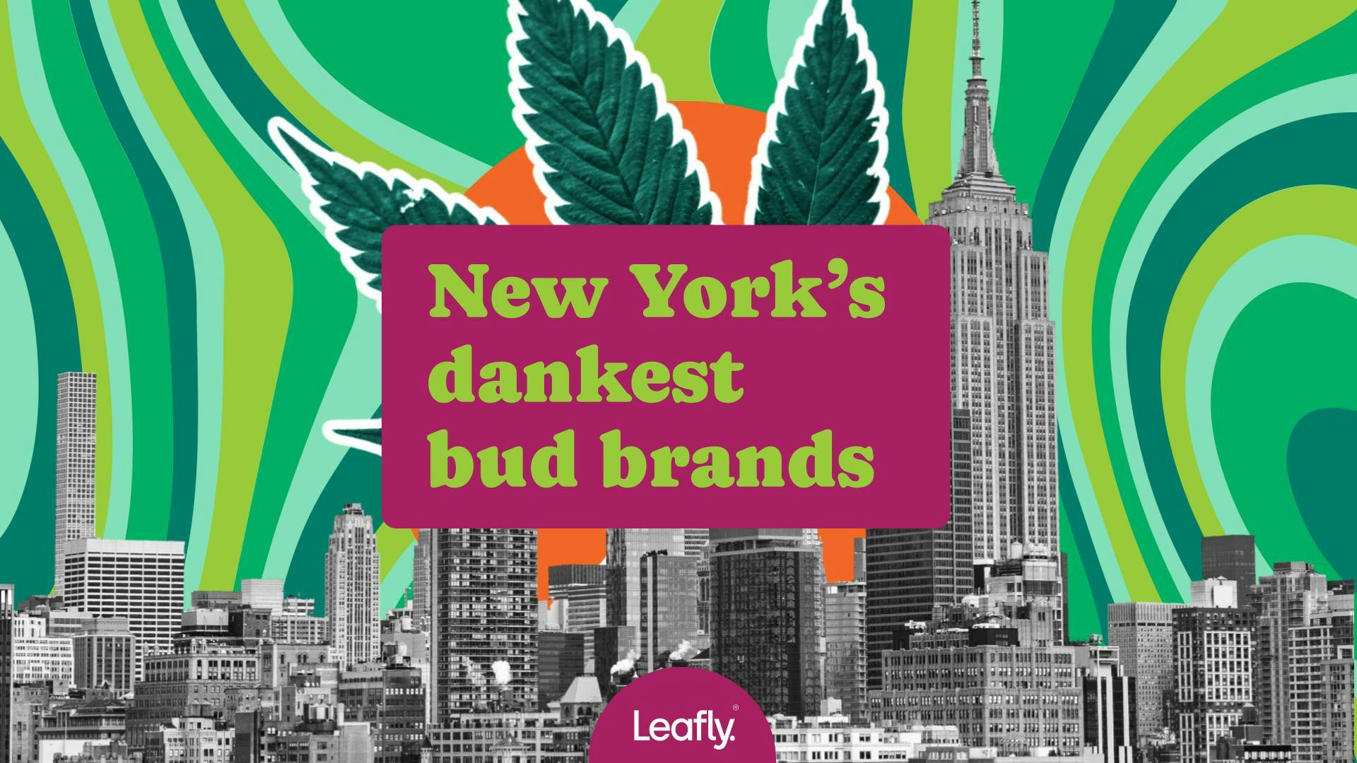 New York’s dankest cannabis brands image