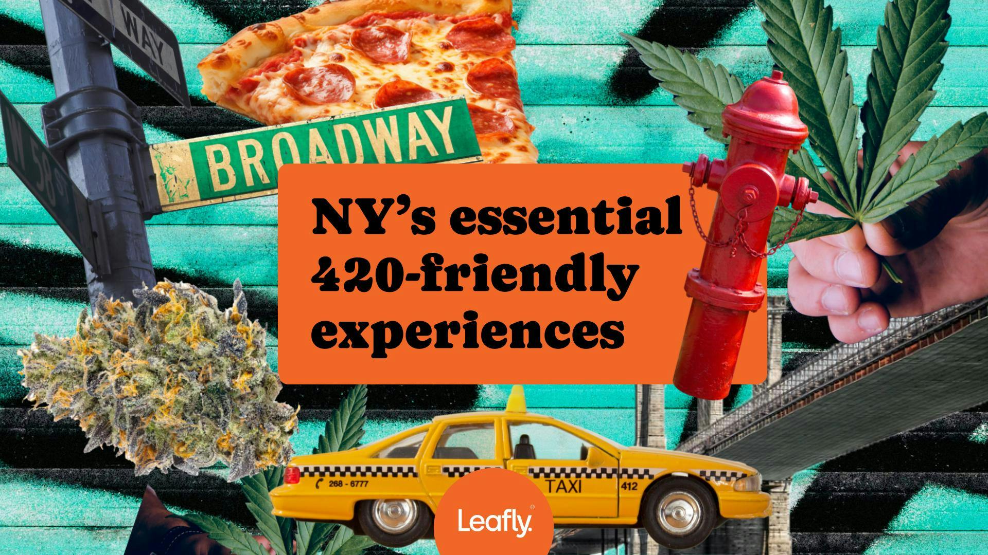 New York's essential weed experiences image