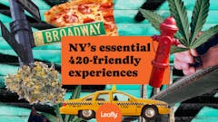 New York's best cannabis experiences