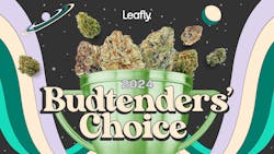 American budtenders’ best strains of 2024 image