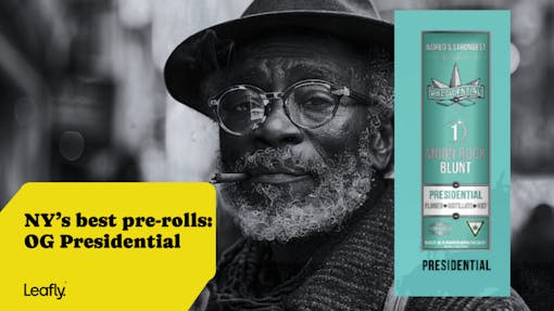 OG Presidential pre rolls are infused with moon rocks. Budtenders and Owners say they're some of NY's best pre-rolls.