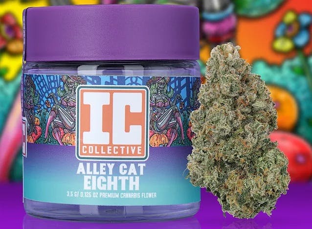 Alley Cat—IC Collective, Illinois, 2024 image