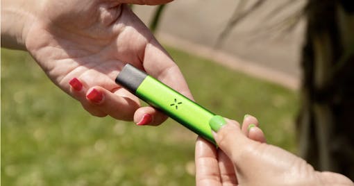 PAX vape top brands in New York dispensaries