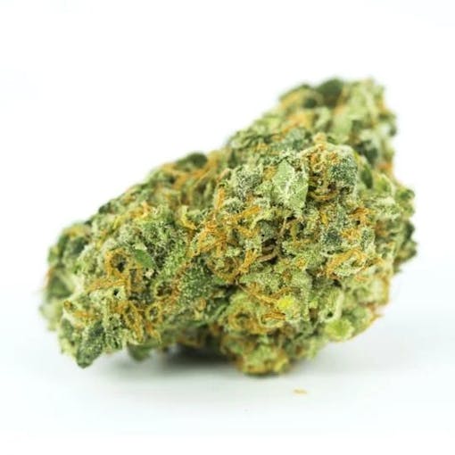 best autoflower seed banks