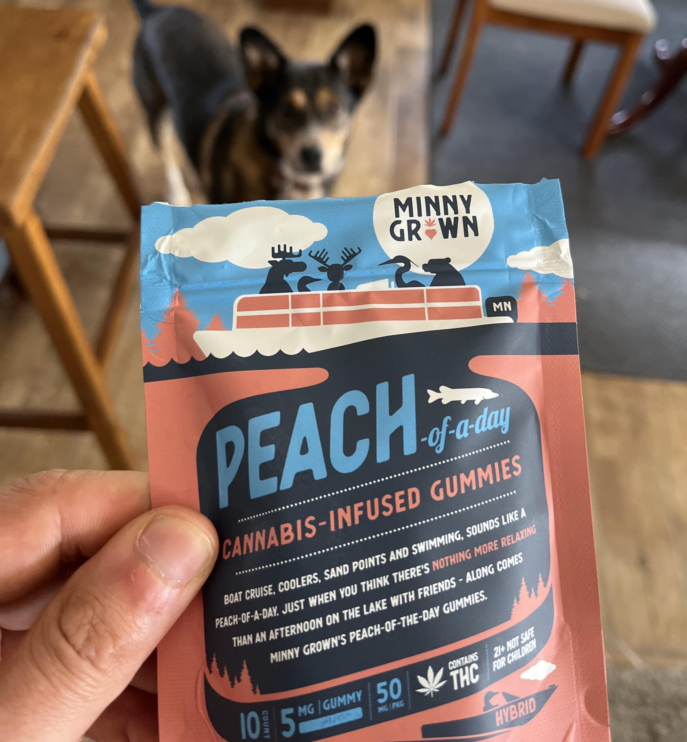 Peach hemp delta-9 gummies—Minny Grown, Minnesota, USA, fall 2024