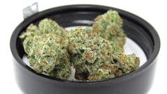 Biskante sold by Alien Labs. (David Downs/Leafly)