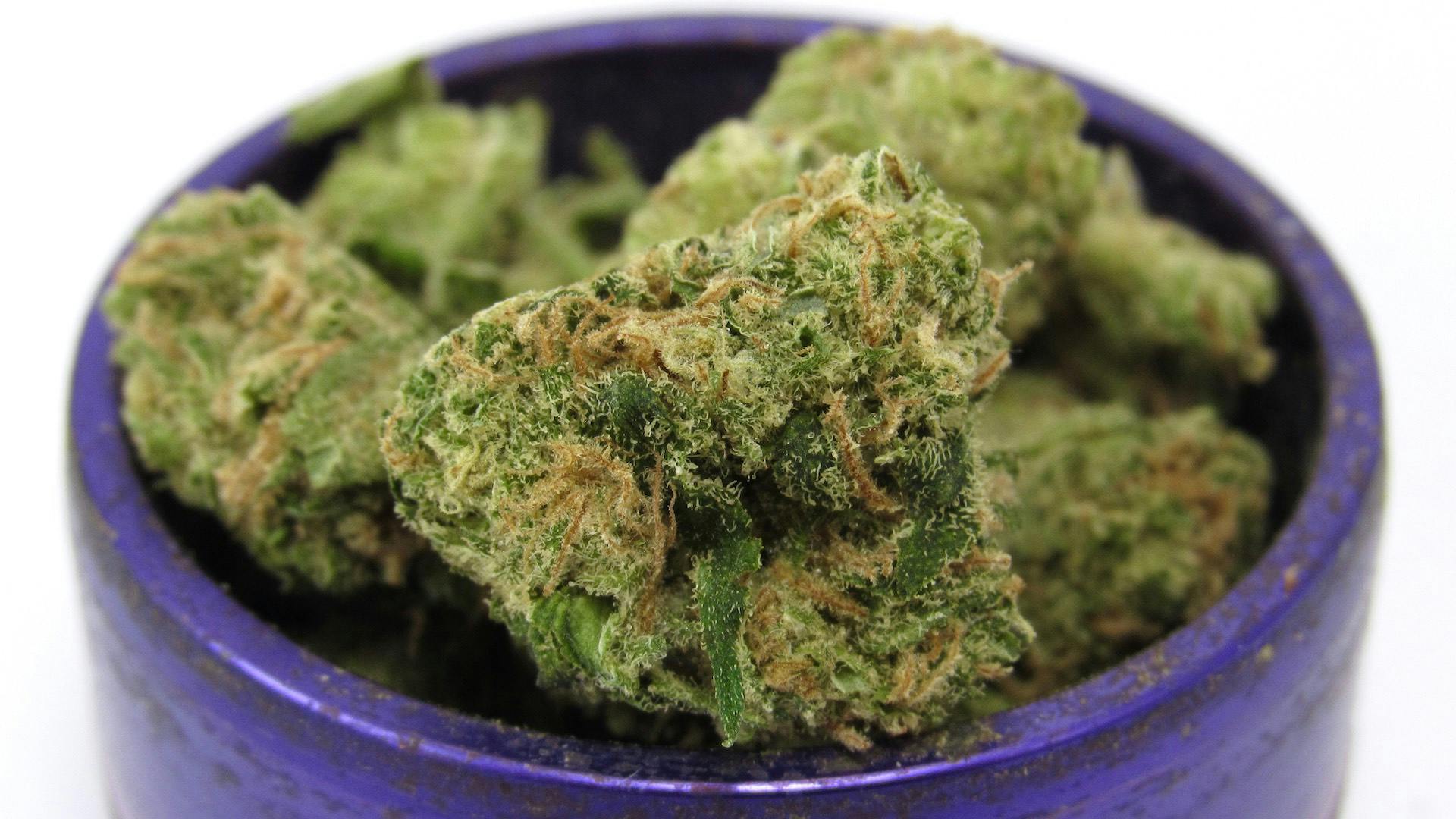 Golden Pineapple – Phat Panda, California, fall image 2024