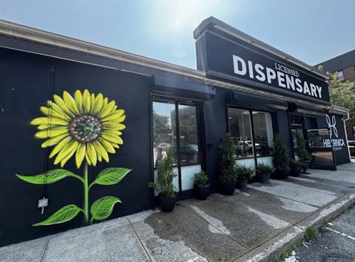 Outdoor pharmacy of the House of Hibernica