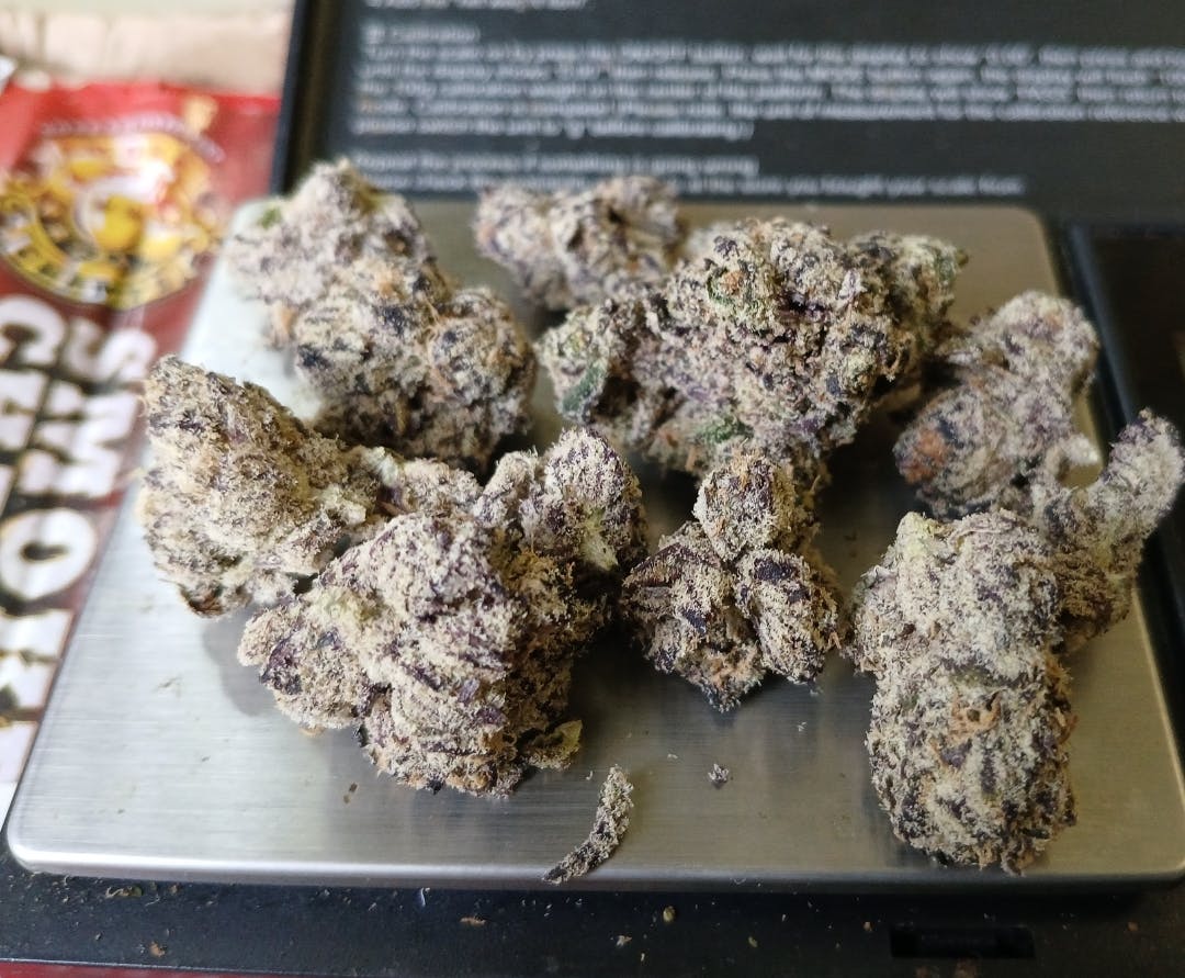 Pushing Pluto—Culture House, NYC, fall 2024 image