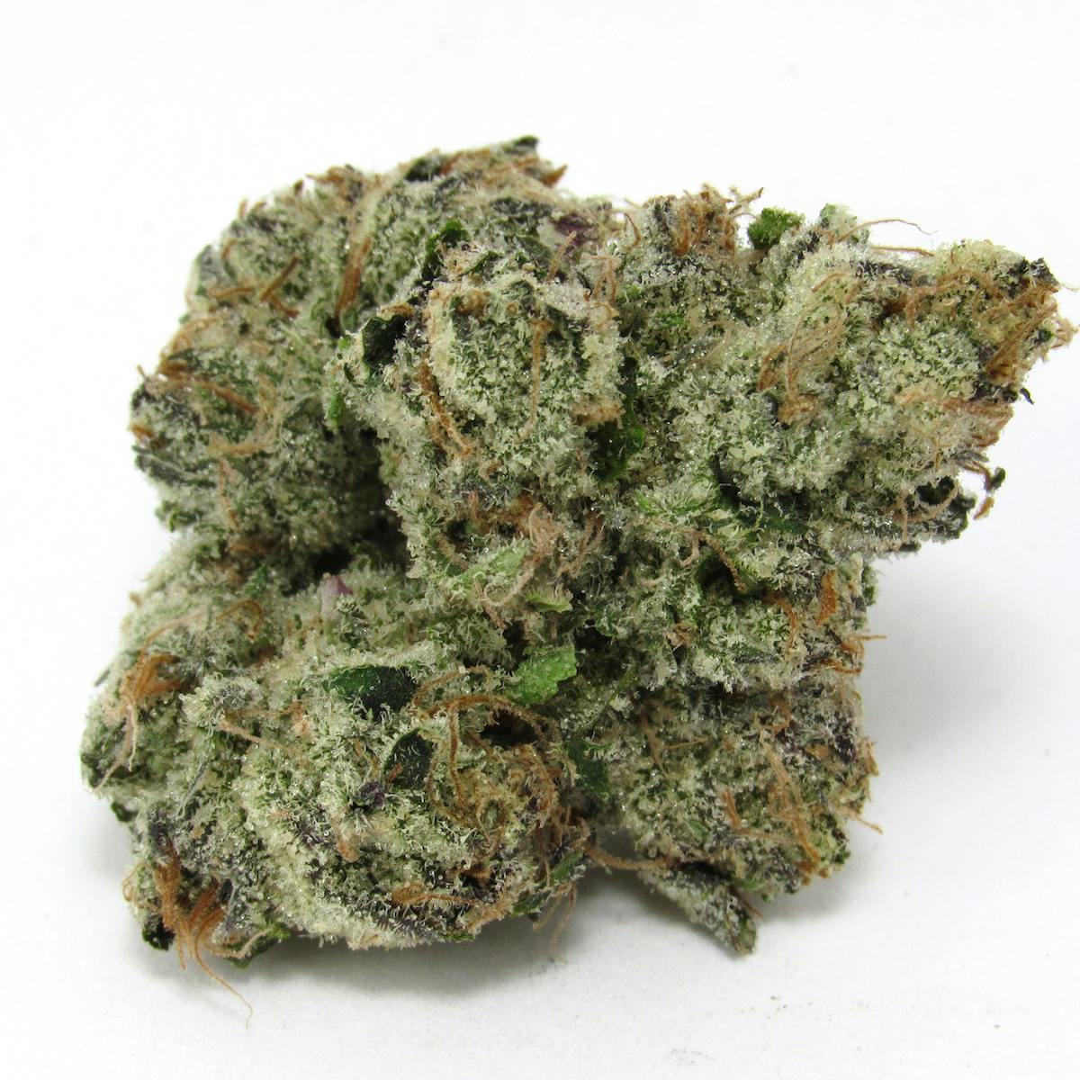 Permanent Marker—MOCA, California, fall 2024 image