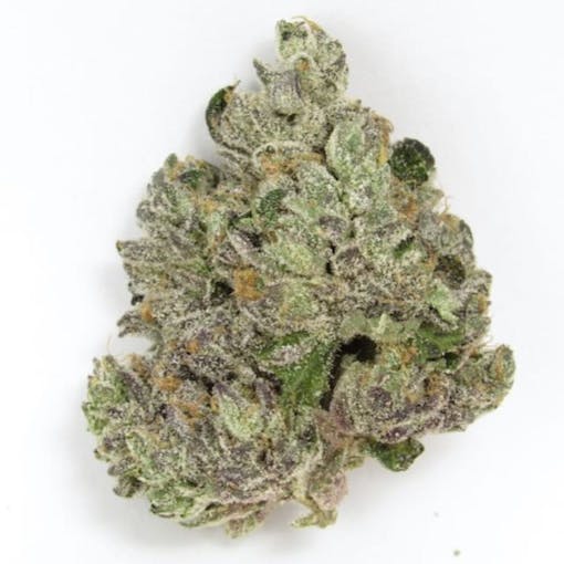 Gotti Beltz. (David Downs/Leafly)