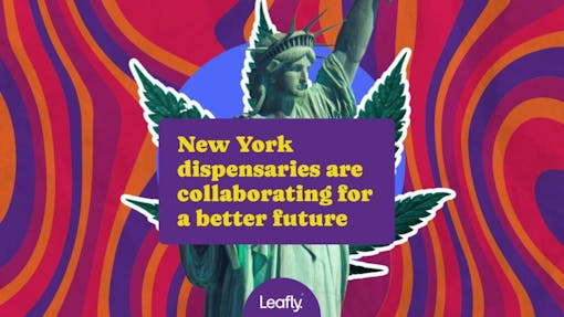 Leafly stands with New York dispensaries