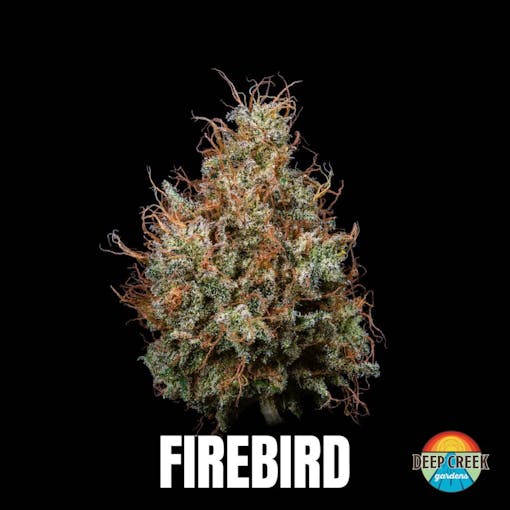 Deep Creek Gardens' Firebird (Deep Jungle x Maui Sour OG). (Courtesy Deep Creek Gardens)