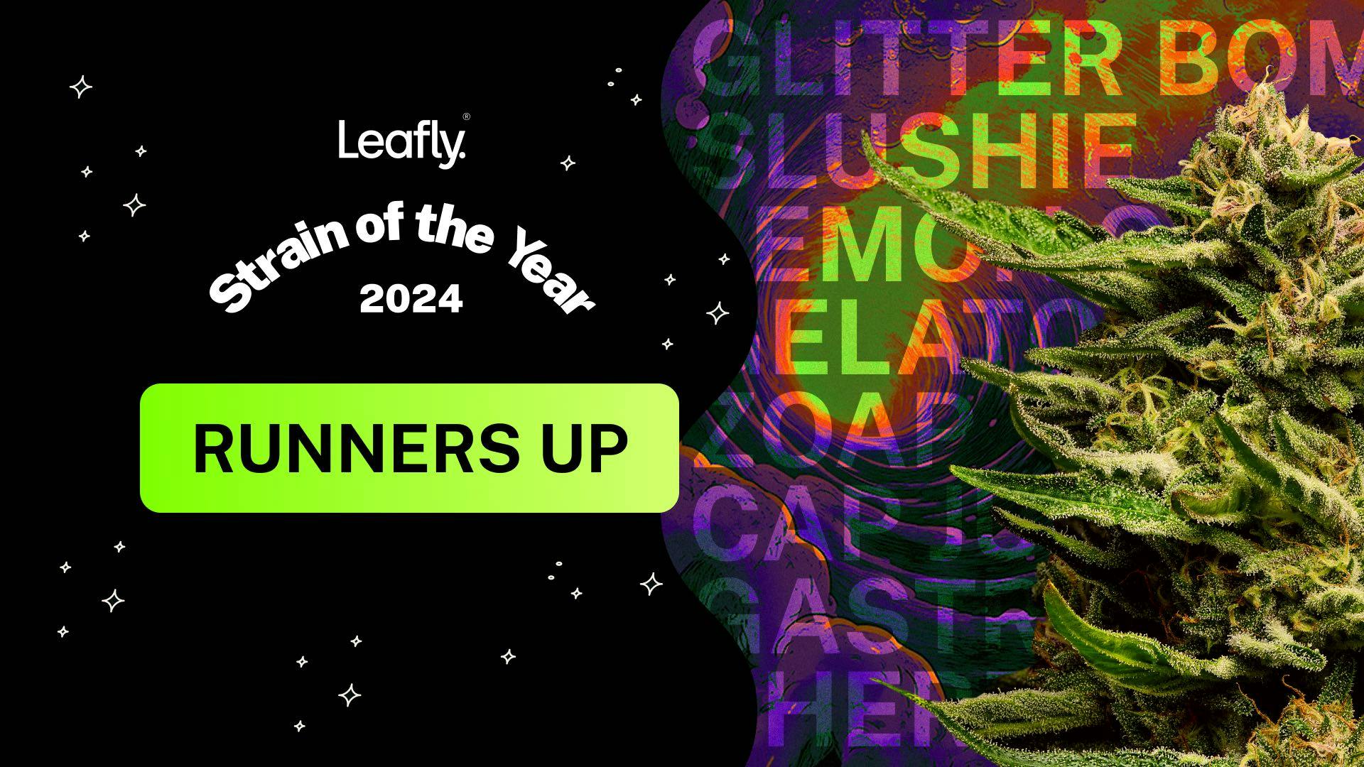 7 runners-up to Leafly Strain of the Year 2024 image