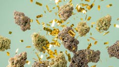 best-selling weed strains of 2025