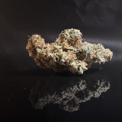 Pink Lemonade (also known as Pink Kush) grown by Skunkfoot Farms in Hebron, ME. (Photo by Max Blockstein)