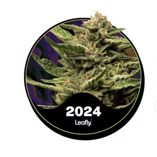 Super Boof – a standout hybrid among the best strains in Arizona with bold, relaxing effects