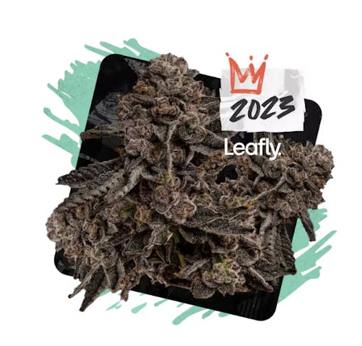 Permanent Marker – a bold hybrid strain in Maryland with a distinctive aroma and balanced effects