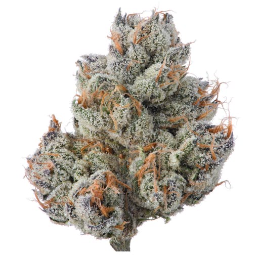 Point Breeze - a St. Patrick's Day election. (With the kind permission of Khalifa Kush)