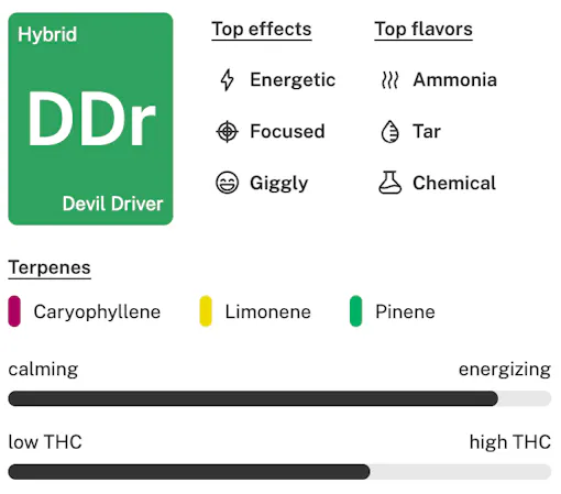 Devil Driver strain details lockup