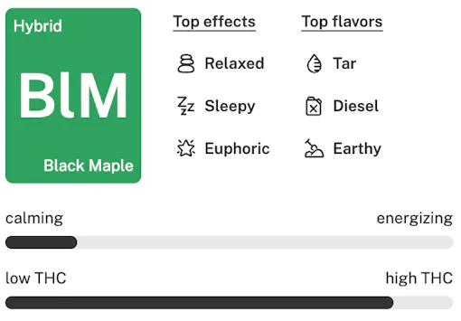 Black Maple strain details lockup