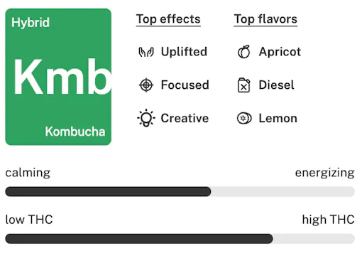 Kombucha strain details lockup