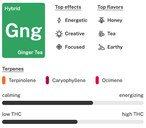 Ginger Tea strain details lockup