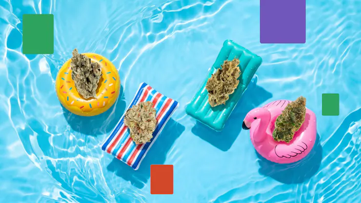 Best cannabis strains for summer 2026 include Blue Nerds, Jack of Diamonds, Kombucha, and more.