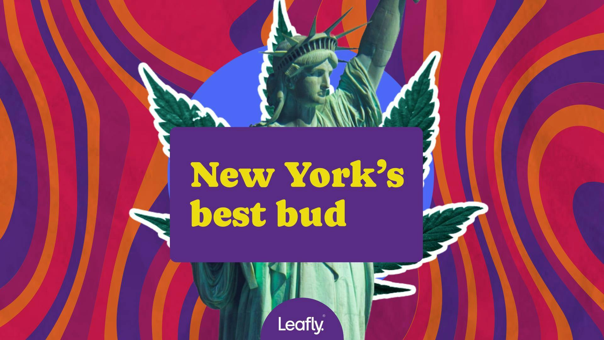 High grade bud is (finally) hitting NY dispensaries image