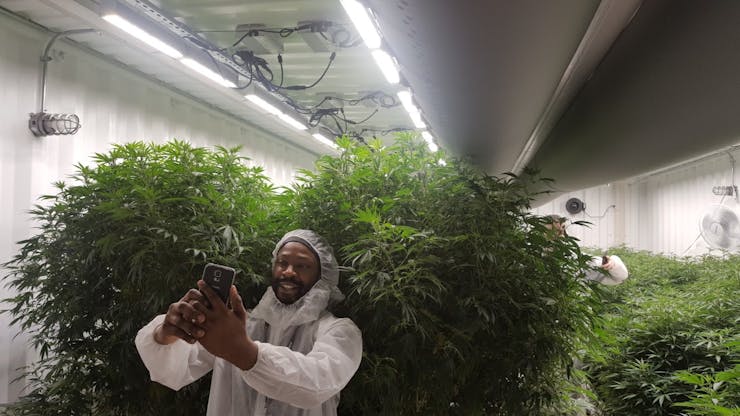 Trap To Table owner Julian Smith poses proudly with his plants