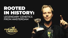 Paradise seeds growing