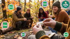 The 10 best cannabis strains of November, 2026