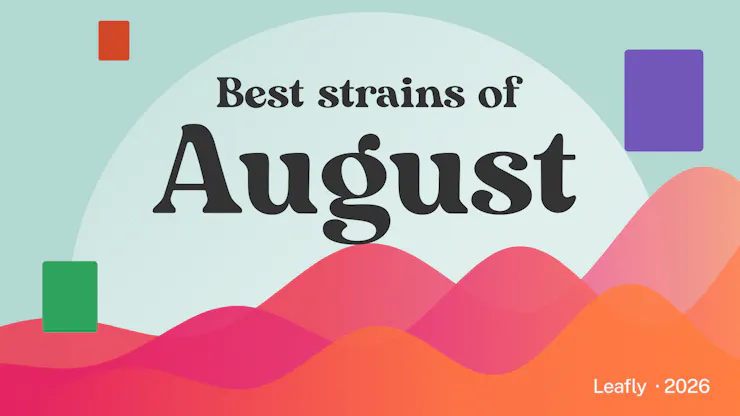 Best cannabis strains for August 2026 include Dante's Inferno, Toad Venom, Black Maple, Power, and more.