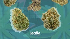 420 Best Strains 2025