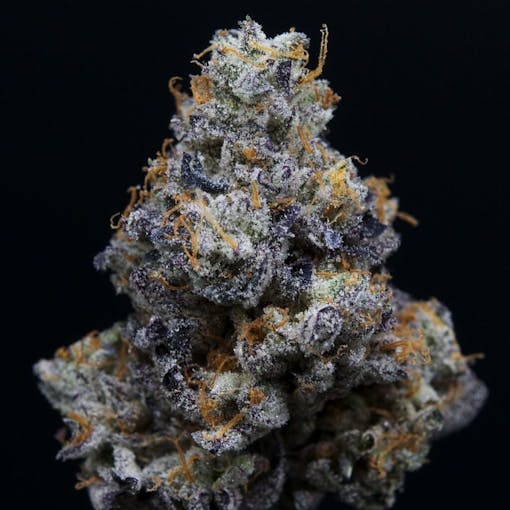 420 best tribes 2025 leaf. Southern Belle. Irene OG X Dosidos. Bred by archive seeds. (Photos by Evans Creek Farms and Erik Nughots)