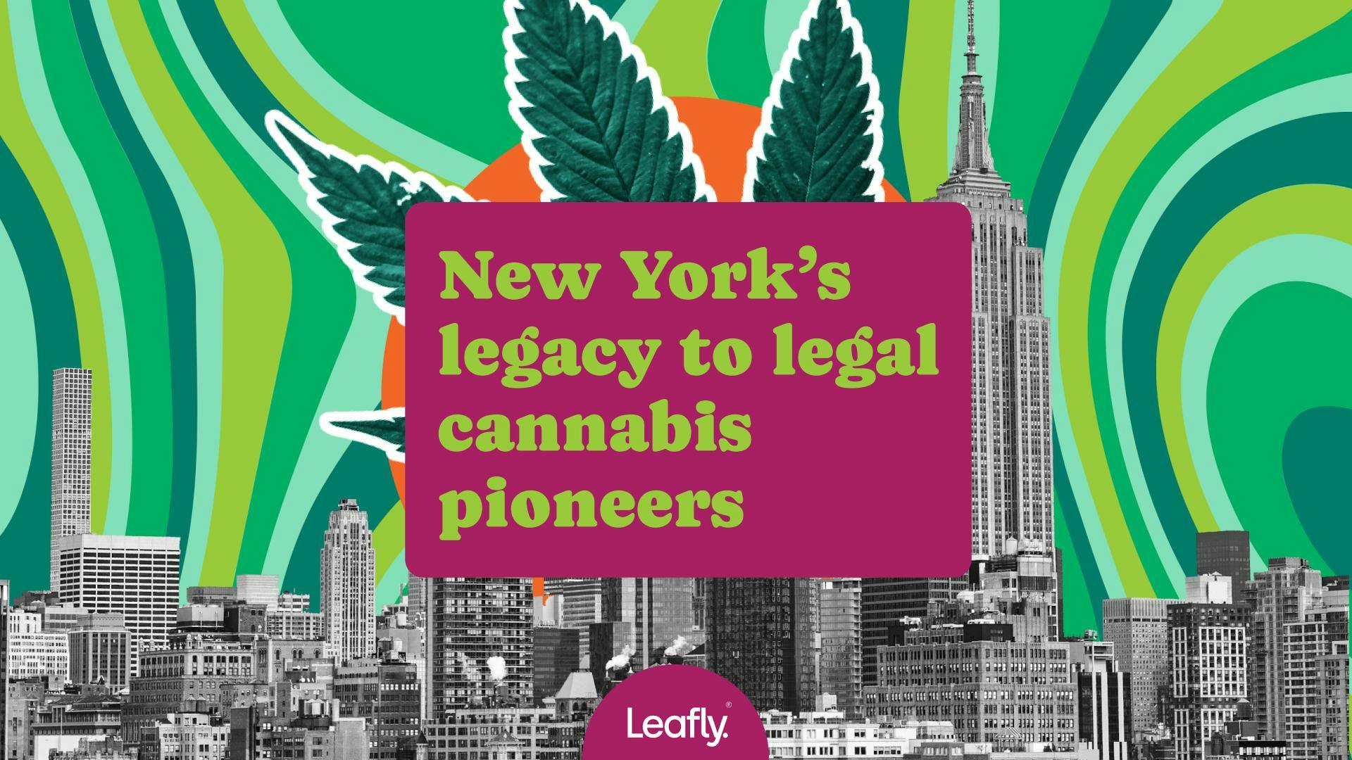 NY's legacy-to-legal cannabis pioneers image