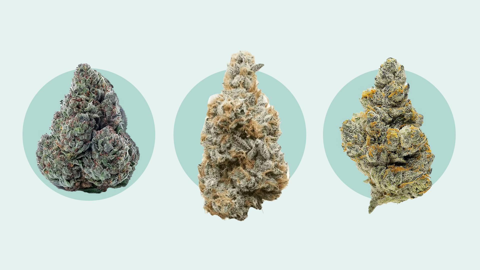 9 best THCA flower strains to smoke this 420 and beyond image