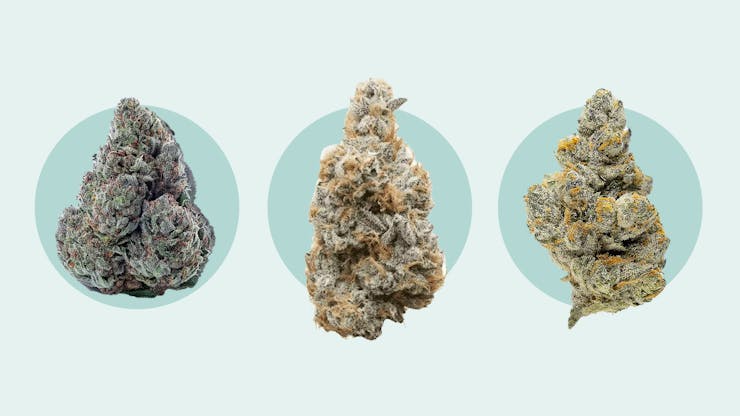Best THCA strains