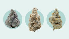 Best THCA strains