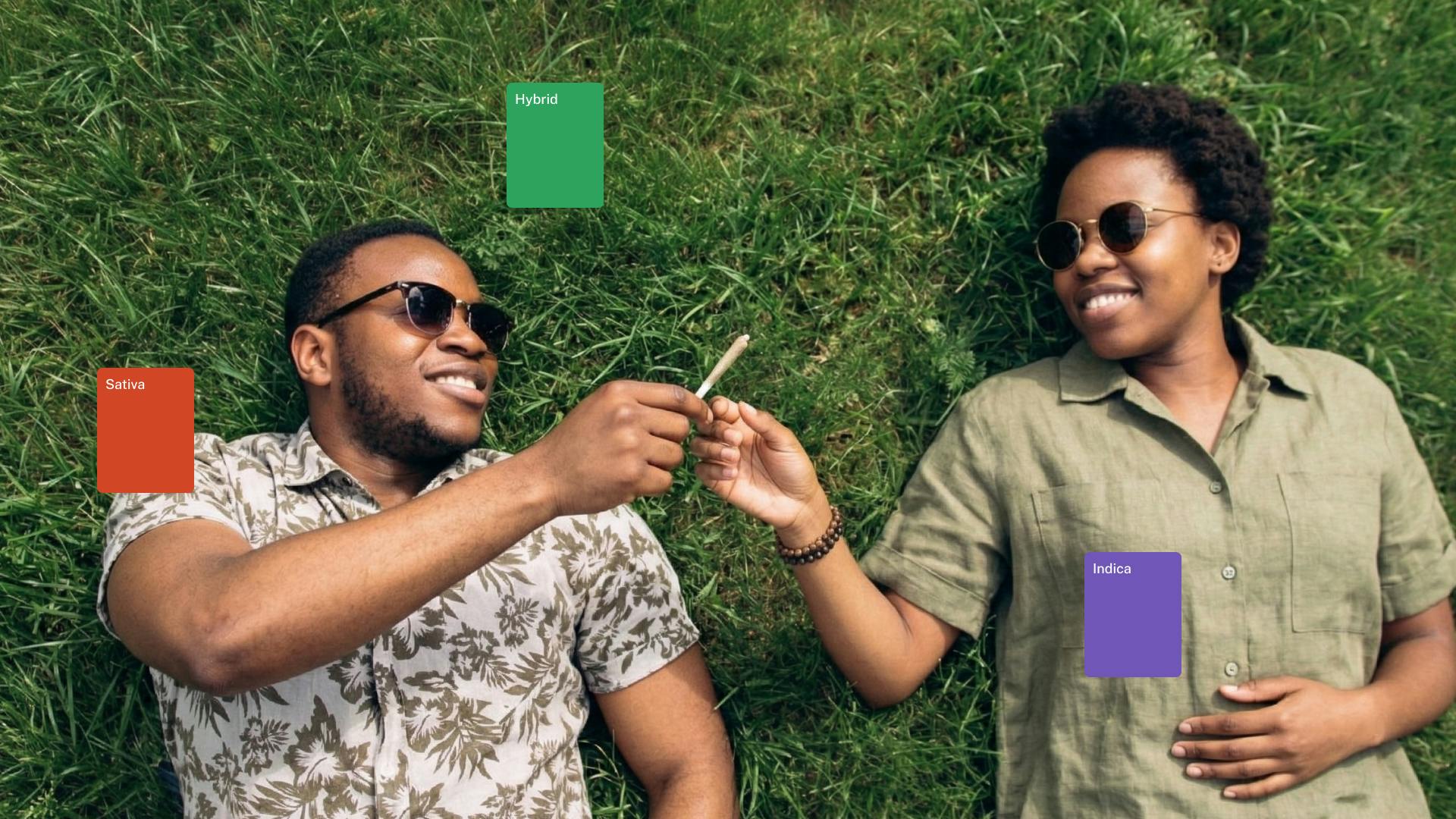 America's hottest cannabis of 420 2026 image