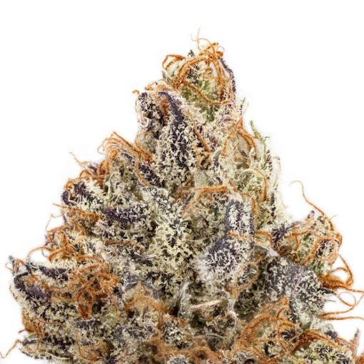 Donny Burger THCA strain