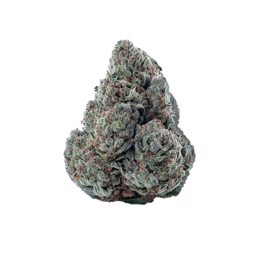 Gary Payton THCA flower strain floating nug