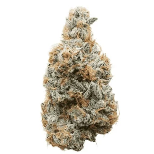 Mr. Nasty THCA flower nug floating image