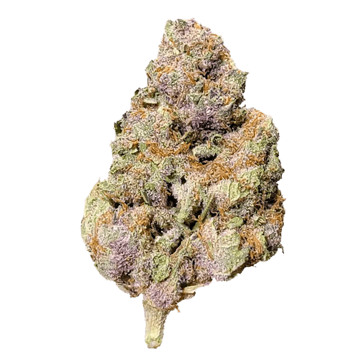 Purple Kush THCA flower nug from Pinnacle Hemp