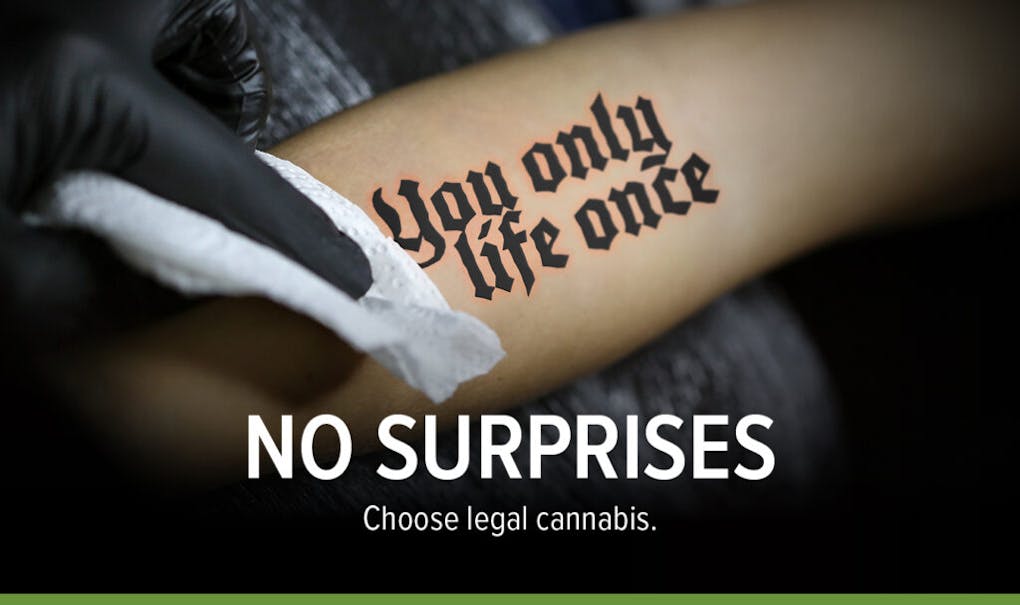 Why only cannabis from the NSLC meets Nova Scotians' high standards ...