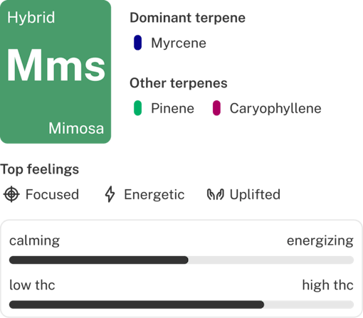 Mimosa strain info