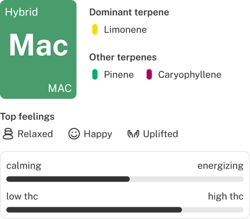 MAC strain info