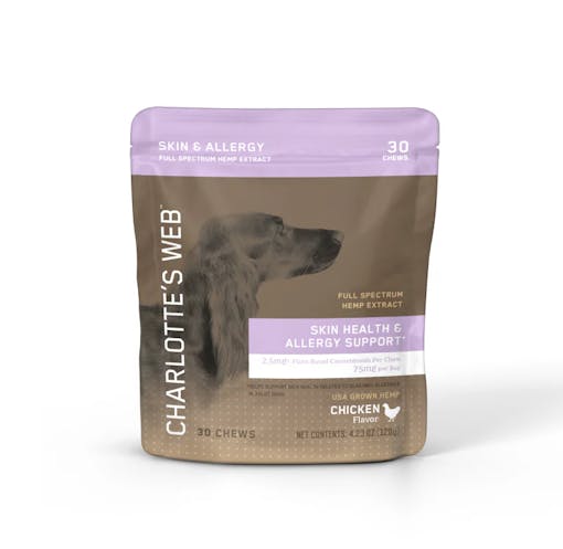 Skin & Allergy Chews for Dogs in a brown and light-purple bag