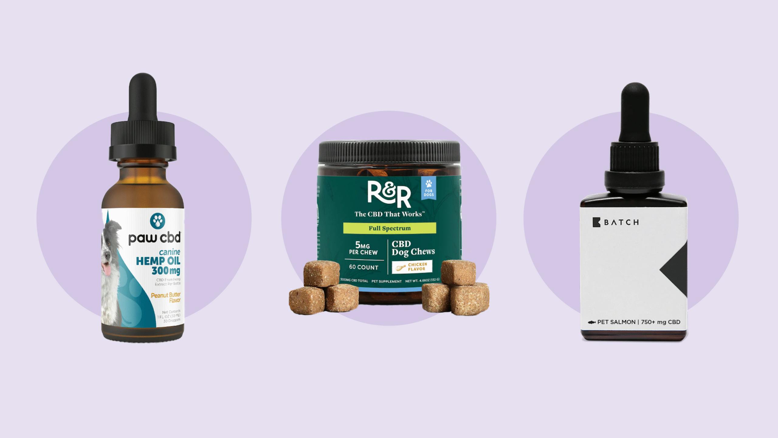 Leafly’s top 11 CBD products for dogs of 2025 image